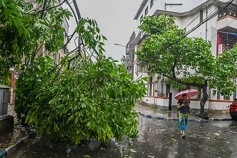 Aftermath of Cyclone